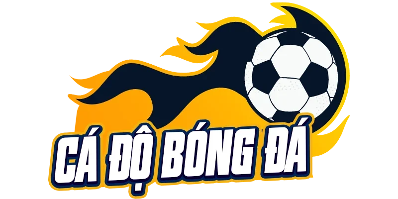 TOP 10 Trang Cá Độ Bóng Đá Online Uy Tín Hợp Pháp Nhất T11