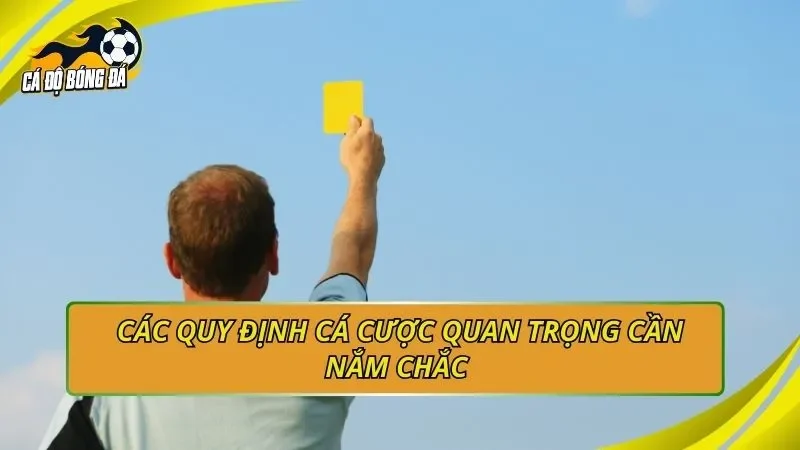 Các quy định cá cược quan trọng cần nắm chắc 