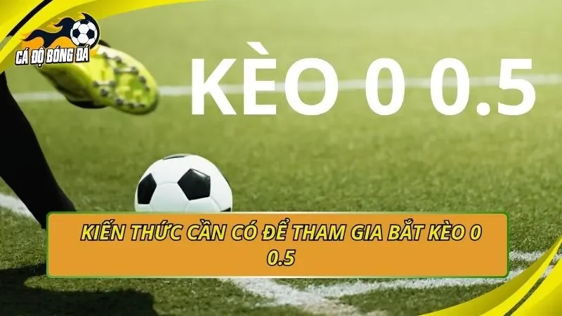 Kiến thức cần có để tham gia bắt kèo 0 0.5