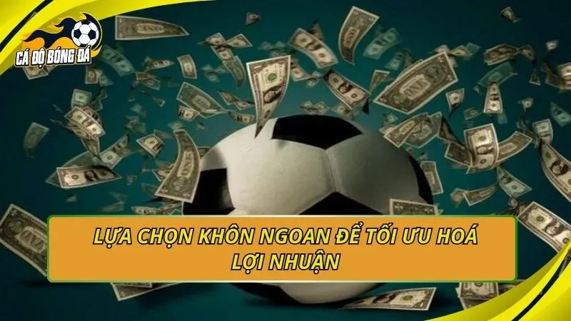 Lựa chọn khôn ngoan để tối ưu hoá lợi nhuận