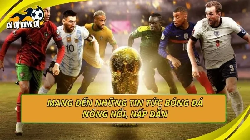 Mang đến những tin tức bóng đá nóng hổi, hấp dẫn