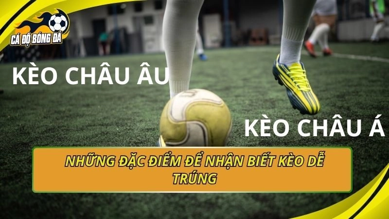 Những đặc điểm để nhận biết kèo dễ trúng