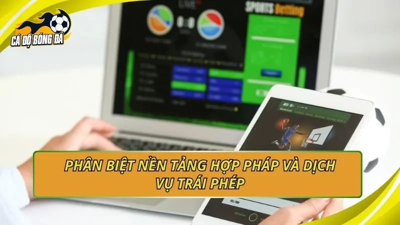 Phân biệt nền tảng hợp pháp và dịch vụ trái phép