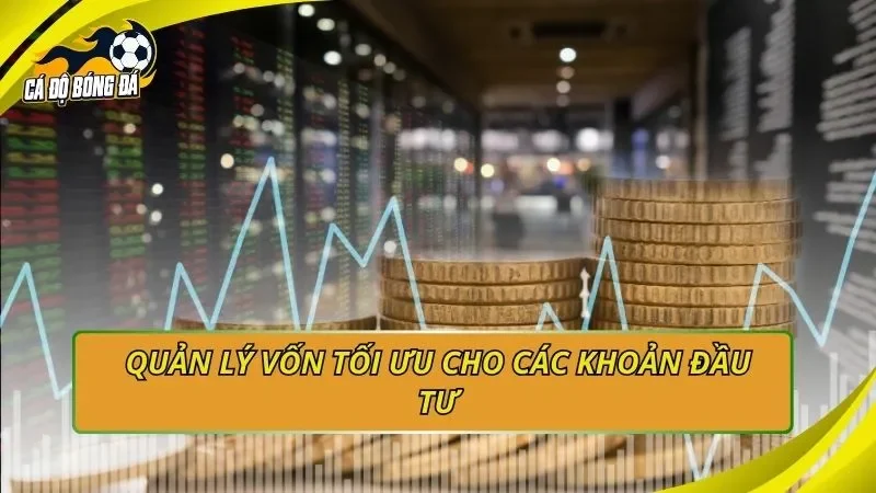 Quản lý vốn tối ưu cho các khoản đầu tư