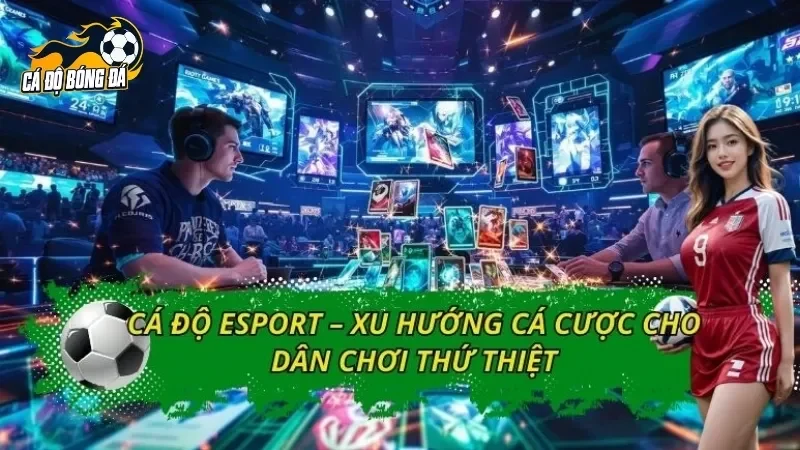 Cá Độ Esport – Xu Hướng Cá Cược Cho Dân Chơi Thứ Thiệt