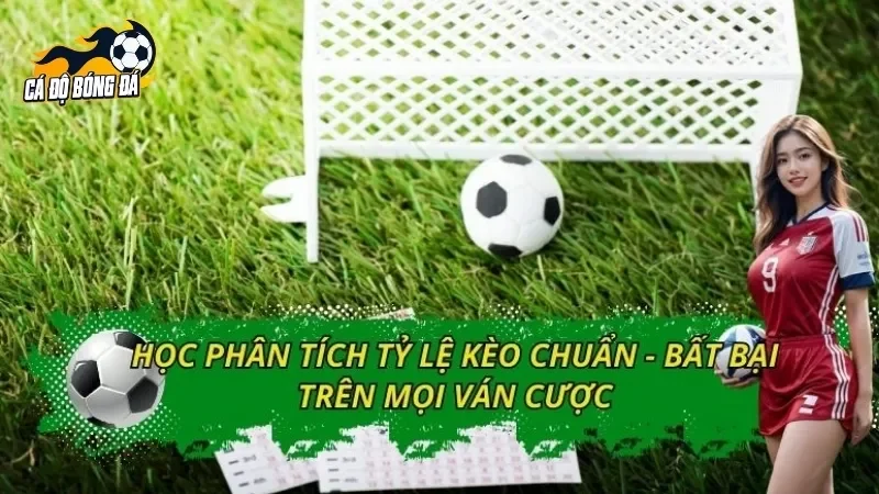 Học Phân Tích Tỷ Lệ Kèo Chuẩn - Bất Bại Trên Mọi Ván Cược