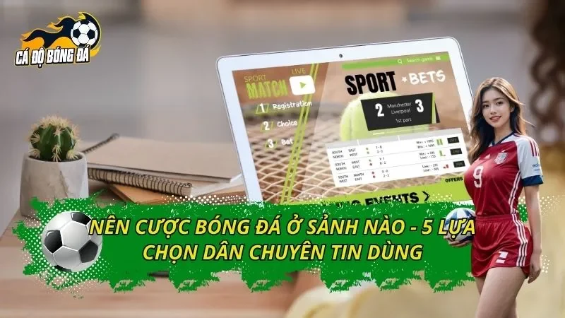 Nên Cược Bóng Đá Ở Sảnh Nào - 5 Lựa Chọn Dân Chuyên Tin Dùng