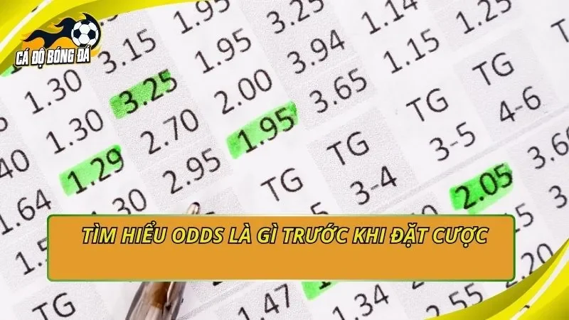 Tìm hiểu odds là gì trước khi đặt cược